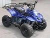 New Kids 110cc ATV - Coolster 3050C - ATV with Headlight & Rack - CA Carb Approved - Free Shipping atvs Wholesale ATV Blue Spider 