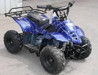 New Kids 110cc ATV - Coolster 3050C - ATV with Headlight & Rack - CA Carb Approved - Free Shipping atvs Wholesale ATV Blue Spider 