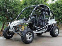 New Adult Go Kart 200cc - Dongfang 200GKF - Free Shipping Go karts Wholesale ATV 