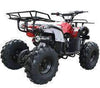 New Larger Youth - Coolster 3125XR8 - 125cc Kids ATV Utility - CA Carb Approved - Free Shipping atvs Wholesale ATV burgundy 