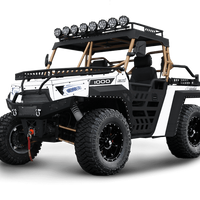 New 1000cc - BMS The Beast 1000 2S - 4x4 UTV