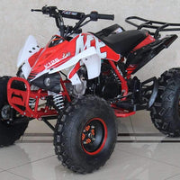 New Larger Youth - Ace K125 - 125cc Kids ATV Sport - CA Carb Approved