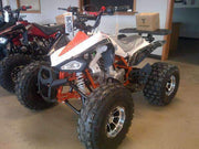 New Larger Youth Kids 125cc ATV - Tao Tao 125cc New Cheetah - CA Carb Approved - Free Shipping atvs Wholesale ATV 