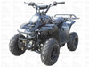New Youth 110cc ATV Icebear PAH-110R2 with REVERSE!! - Kids ATV Four Wheeler