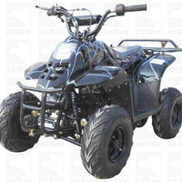 New Youth 110cc ATV Icebear PAH-110R2 with REVERSE!! - Kids ATV Four Wheeler
