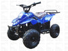 New Youth 110cc ATV Icebear PAH-110R2 with REVERSE!! - Kids ATV Four Wheeler