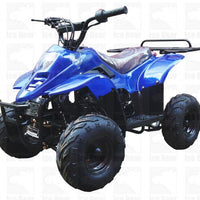 New Youth 110cc ATV Icebear PAH-110R2 with REVERSE!! - Kids ATV Four Wheeler