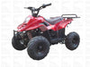 New Youth 110cc ATV Icebear PAH-110R2 with REVERSE!! - Kids ATV Four Wheeler