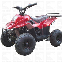 New Youth 110cc ATV Icebear PAH-110R2 with REVERSE!! - Kids ATV Four Wheeler