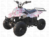 New Youth 110cc ATV Icebear PAH-110R2 with REVERSE!! - Kids ATV Four Wheeler