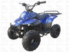 New Youth 110cc ATV Icebear PAH-110R2 with REVERSE!! - Kids ATV Four Wheeler