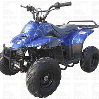 New Youth 110cc ATV Icebear PAH-110R2 with REVERSE!! - Kids ATV Four Wheeler