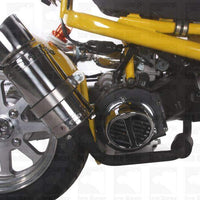 New 150cc - Icebear Maddog Gen IV  Scooter