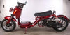 New Icebear GEN IV MADDOG (PMZ50-21)- 50cc Motorcycle Style Scooter