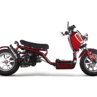 New Icebear GEN IV MADDOG (PMZ50-21)- 50cc Motorcycle Style Scooter