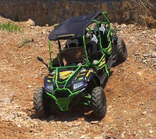 New 350cc - FANGPOWER Predator 400 XL - 4 Seater Youth/Adult UTV - Free Shipping utvs Wholesale ATV Green 