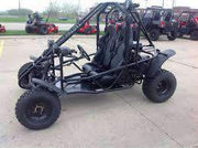 New Adult 200cc - Tao Tao Targa 200 Go Kart - Free Shipping Go karts Wholesale ATV 