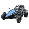 New Adult 200cc - Tao Tao 200 Arrow Go Kart - Free Shipping go kart Wholesale ATV 