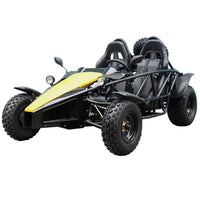New Adult 200cc - Tao Tao 200 Arrow Go Kart - Free Shipping go kart Wholesale ATV 