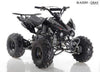 New 125cc - APOLLO BLAZER 9 - Fully Auto Youth Sport ATV with Reverse