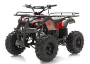 New 125cc - APOLLO FOCUS 125 - Fully Auto Utility Larger Youth ATV