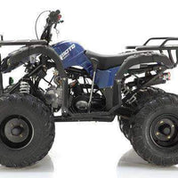 New 125cc - APOLLO FOCUS 125 - Fully Auto Utility Larger Youth ATV