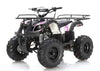 New 125cc - APOLLO FOCUS 125 - Fully Auto Utility Larger Youth ATV