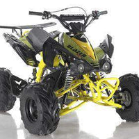 New 125cc - APOLLO BLAZER 7 - Youth Sport ATV w/Reverse - CA Carb Approved
