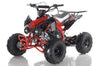 New 125cc - APOLLO BLAZER 7 - Youth Sport ATV w/Reverse - CA Carb Approved