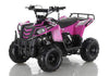NEW 110CC - APOLLO MINI COMMANDER 110 - Mini Youth ATV w/ Reverse - CA CARB Aprroved