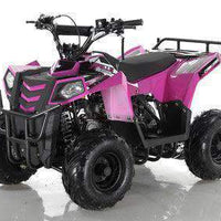 NEW 110CC - APOLLO MINI COMMANDER 110 - Mini Youth ATV (No Reverse) - CA CARB Aprroved
