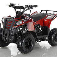 NEW 110CC - APOLLO MINI COMMANDER 110 - Mini Youth ATV w/ Reverse - CA CARB Aprroved
