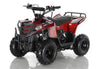 NEW 110CC - APOLLO MINI COMMANDER 110 - Mini Youth ATV (No Reverse) - CA CARB Aprroved