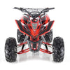 New Larger Youth 125cc - Apollo Sniper - ATV Utility Sport - CA Carb Approved - Free Shipping atvs Wholesale ATV 